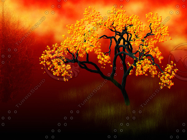 Red Fall.jpg